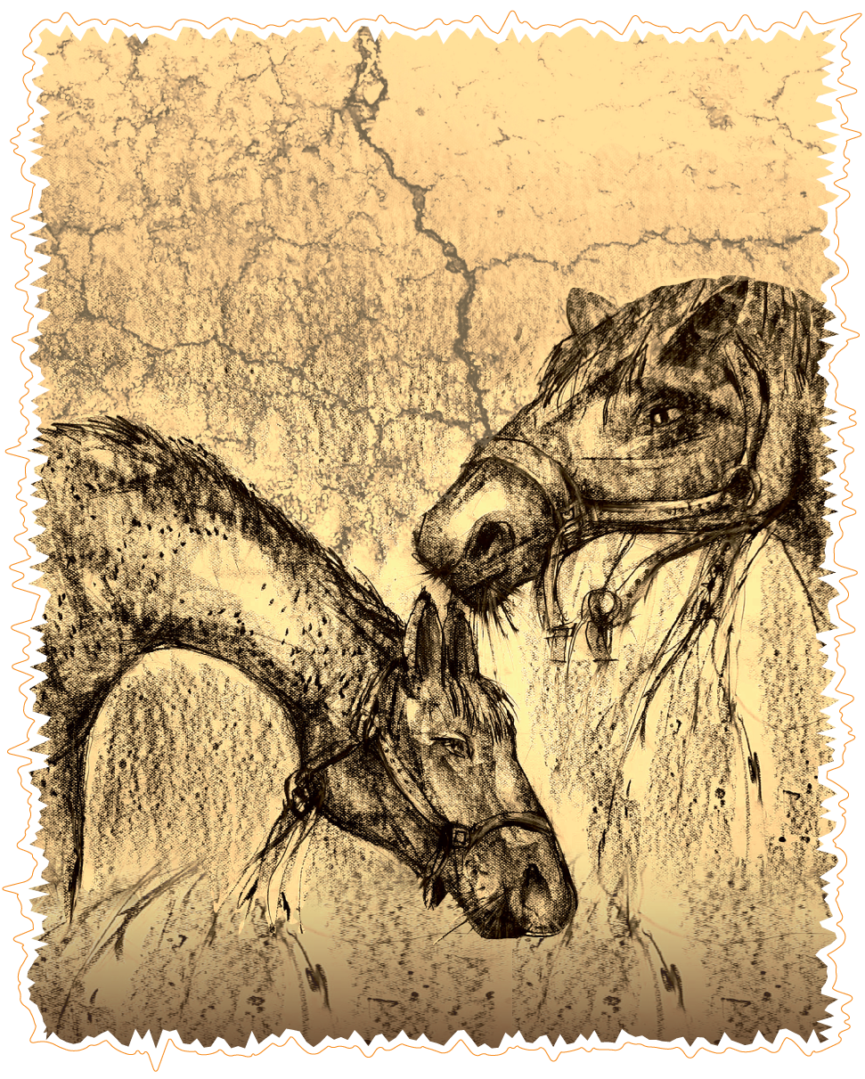 Horse Digital Art 3